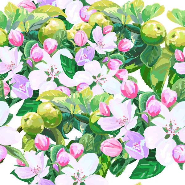 Tekening van appels blossoms — Stockvector
