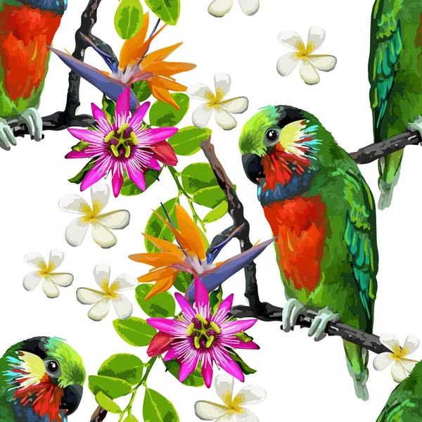 Aves exóticas y hermosas flores — Vector de stock