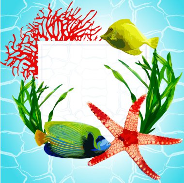 sualtı dünyasını egzotik balık