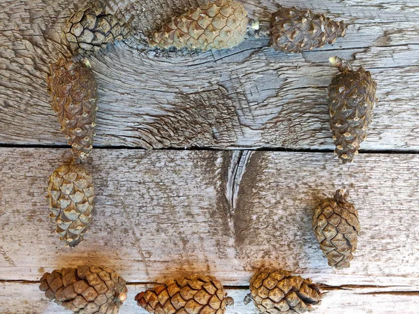 松果躺在一块木制的木板上 形似一个方块 — 图库照片