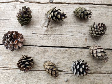 Kırsal ahşap arka planda çam kozalakları.