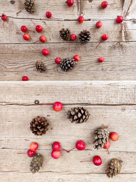 Rote Äpfel Und Tannenzapfen Auf Rustikalem Holz Hintergrund — Stockfoto