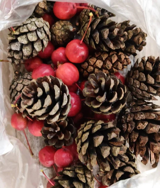 Rote Äpfel Und Tannenzapfen Auf Rustikalem Holz Hintergrund — Stockfoto