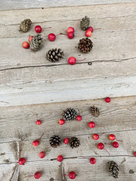 Rote Äpfel Und Tannenzapfen Auf Rustikalem Holz Hintergrund — Stockfoto