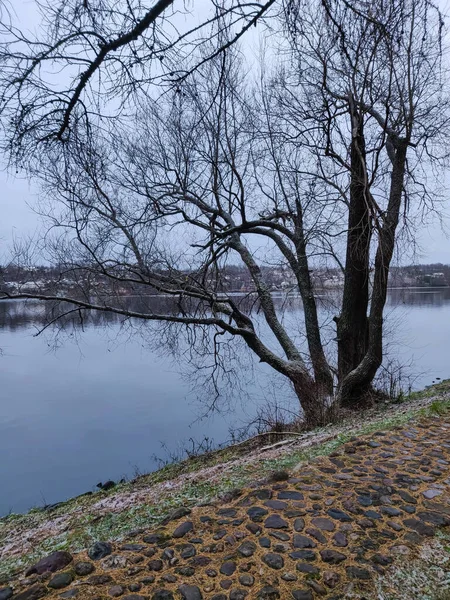 Volga nehri ve Ples köyü ile kırsal Rus kış manzarası