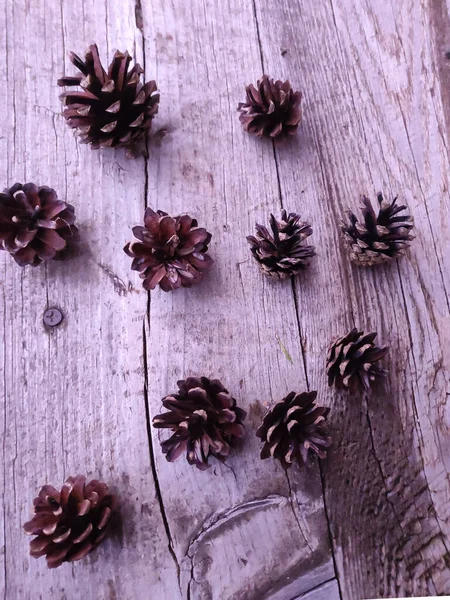 Cones Pinheiro Encontram Uma Placa Madeira Forma Círculo — Fotografia de Stock