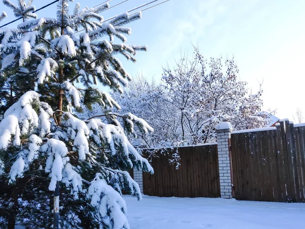 有栅栏和雪树的冬季景观 — 图库照片