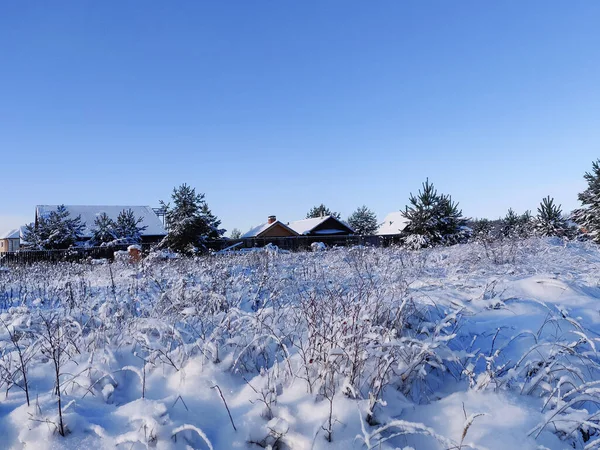 Vackert Vinterlandskap Med Skog Och Julgranar Täckta Med Snö Ryska — Stockfoto