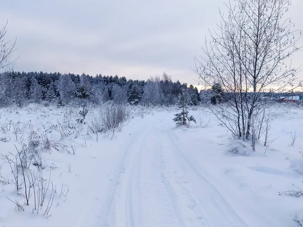 Linda Paisagem Temporada Inverno Estrada Nevada Longo Floresta Com Árvores — Fotografia de Stock