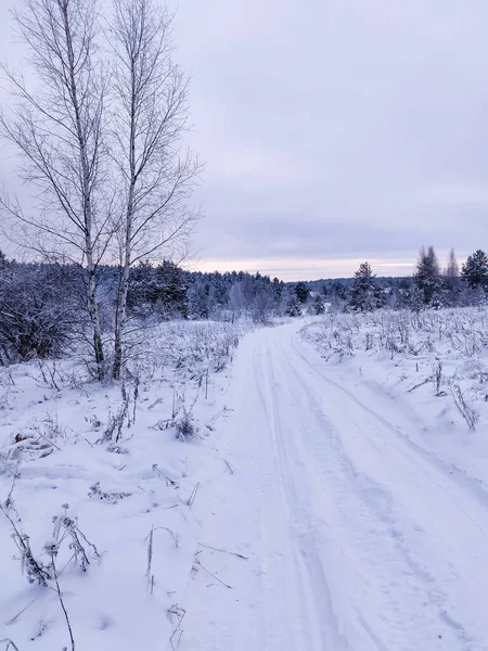 Piękny Krajobraz Sezonu Zimowego Śnieżna Droga Wzdłuż Lasu Choinkami — Zdjęcie stockowe