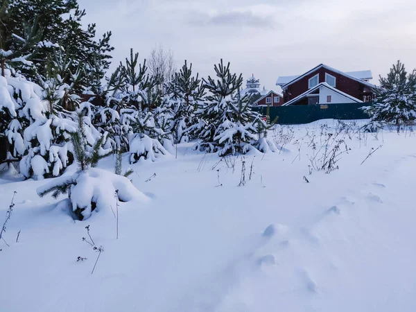 冬の季節に雪の国の大まかな道路 ロシアの田園風景 — ストック写真