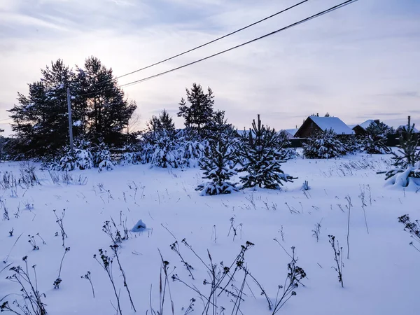 Campo Áspera Carretera Nieve Temporada Invierno Paisaje Exterior Rural Ruso — Foto de Stock