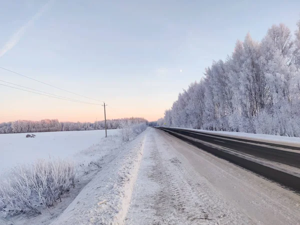 Заснеженные Растения Ветви Деревьев Зимний Сельский Пейзаж — стоковое фото