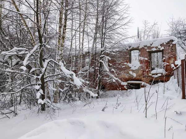 Country Rough Road Snow Winter Season — стоковое фото