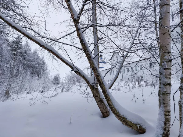 Деревенская Грубая Дорога Снегу Зимний Сезон Сельский Пейзаж — стоковое фото