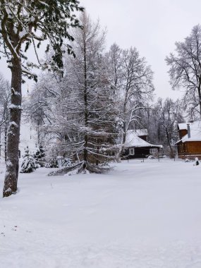 Kış mevsiminde kar üzerinde kırsal engebeli yollar. Rus kırsal arazisi.
