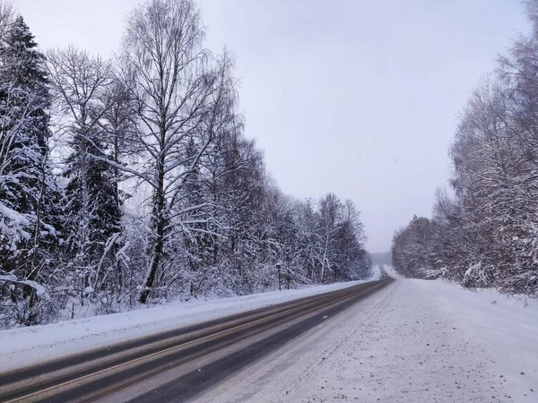 Snow Covered Plants Tree Branches Winter Rural Natural Landscape — 图库照片