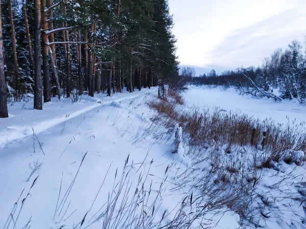 Mały Drewniany Most Przez Rzekę Zimowym Lesie — Zdjęcie stockowe