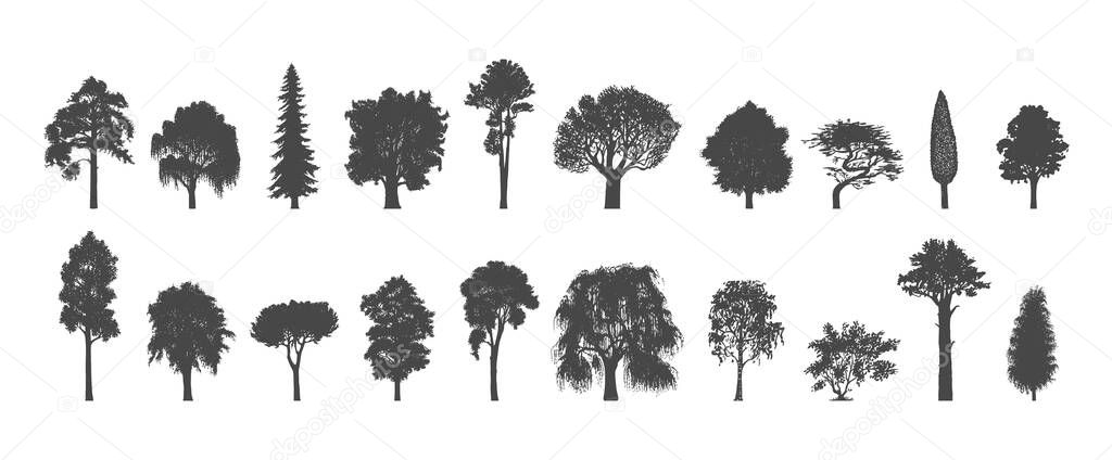 Trees silhouettes, hand drawn images in vector.