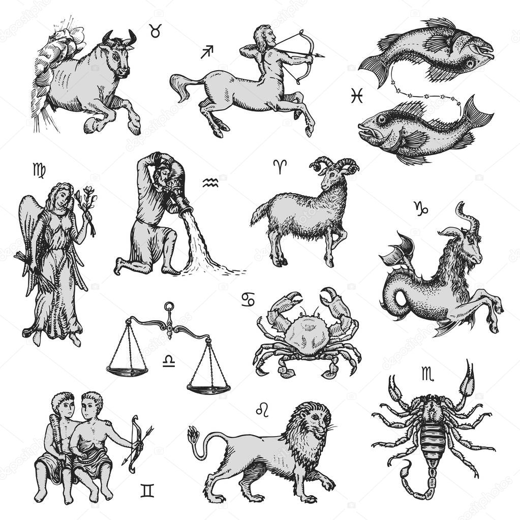 Zodiac signs, vector drawings in engraving style. Horoscope symbols design concept, hand drawn illustrations. Astrological background.