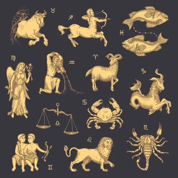 Ensemble de signes du zodiaque, conception de symboles d'horoscope vectoriel. — Image vectorielle