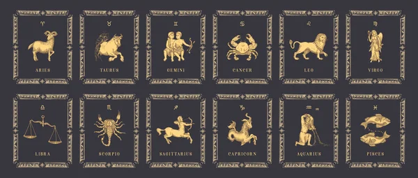 Vintage horoscope cards in vector. Zodiac symbols. — Stock Vector