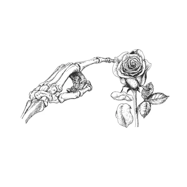 Skeletthand und Rose, gezeichnete Skizze im Vektor. — Stockvektor