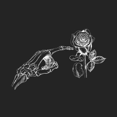 İskelet el ve gül, vektörde çizilmiş..