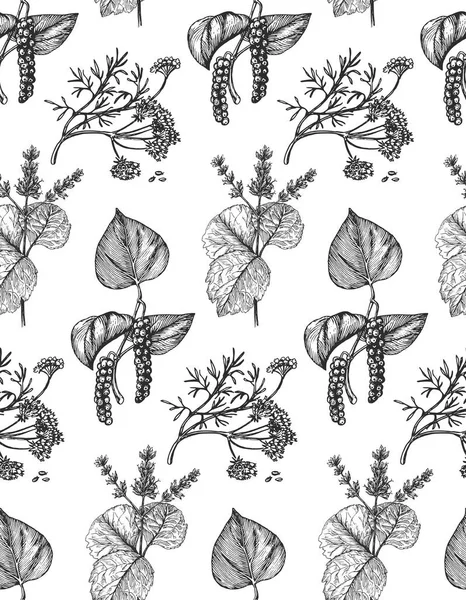 Bitki Baharatlı Duvar Kağıdı Tasarım Elementleri Kabartma Tarzında Botanik Çizimlerle — Stok Vektör