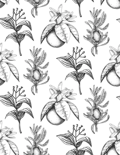 Wallpaper with botanical drawings in engraving style. Herbs and spices background in vector, design elements. Plants, seamless pattern, hand drawn illustrations.
