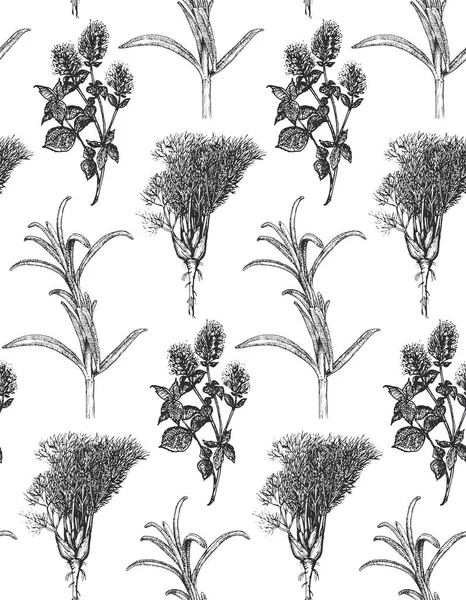 Mutfak Bitkileri Pürüzsüz Desenler Çizimleri Şleme Tarzında Botanik Çizimleri Olan — Stok Vektör