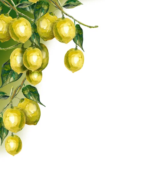 Лимони фону — стокове фото