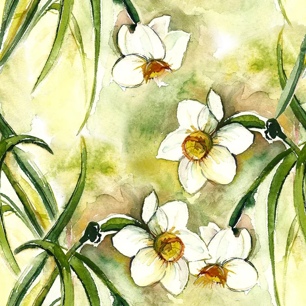 Narcissus sømløse mønster - Stock-foto