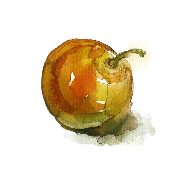 Akvarel jablko — Stock fotografie