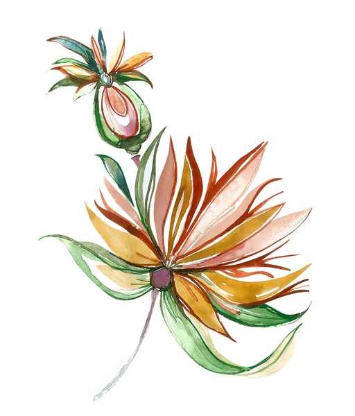 Watercolor flower — Stock Photo, Image