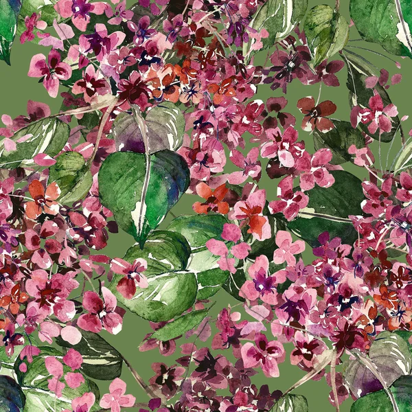 Квіткові аквареллю фону — стокове фото