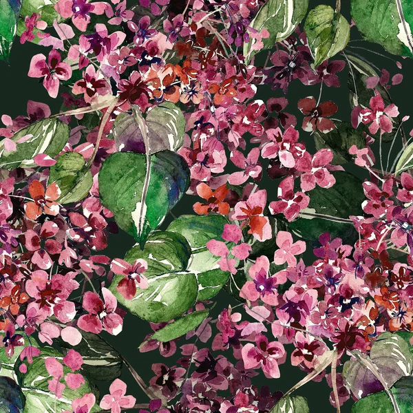 Arrière plan aquarelle floral — Photo