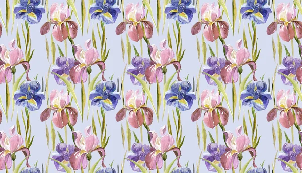 Irissen naadloze patroon — Stockfoto