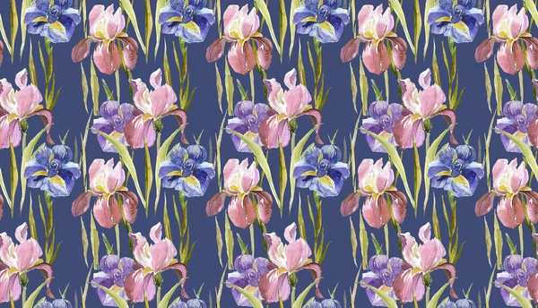 Irises seamless pattern — Stock Photo, Image