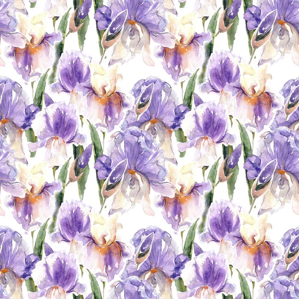 Irises seamless pattern — Stock Photo, Image