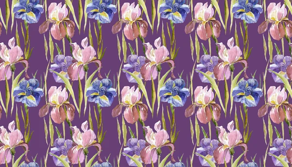 Iris seamless mönster — Stockfoto