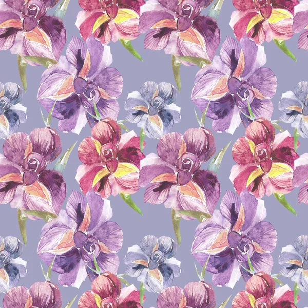 Irises pattern — Stock Photo, Image