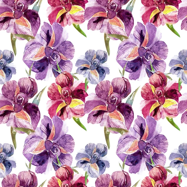 Irises pattern — Stock Photo, Image