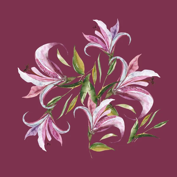 Pink lily pattern — Stock Photo, Image