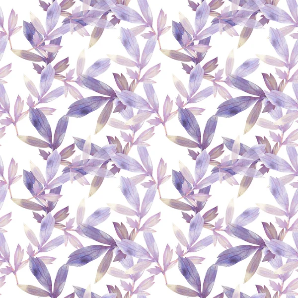 Pioenroos Branch Patroon Aquarel Illustratie Afbeelding Witte Gekleurde Achtergrond — Stockfoto