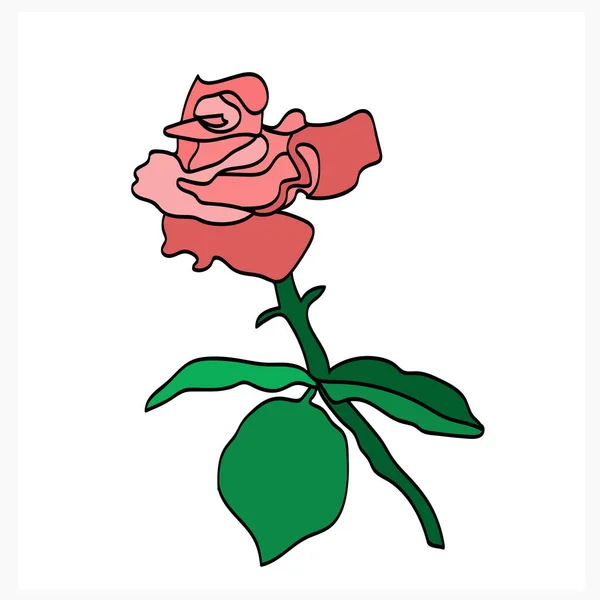 Roses Pattern Image Auf Einem Weißen Und Farbigen Hintergrund Vector — Stockvektor