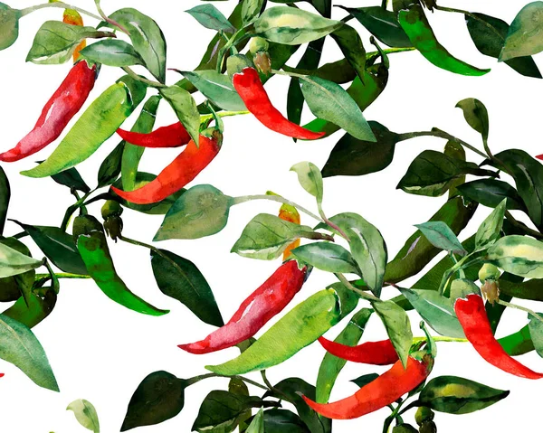 Capsicum Pimenta Quente Padrão Sem Costura Imagem Fundo Branco Colorido — Fotografia de Stock