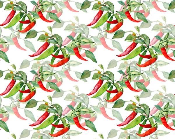 Capsicum Piment Piquant Modèle Sans Couture Image Sur Fond Blanc — Photo