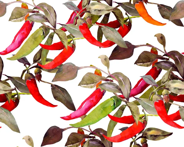 Capsicum Pimenta Quente Padrão Sem Costura Imagem Fundo Branco Colorido — Fotografia de Stock