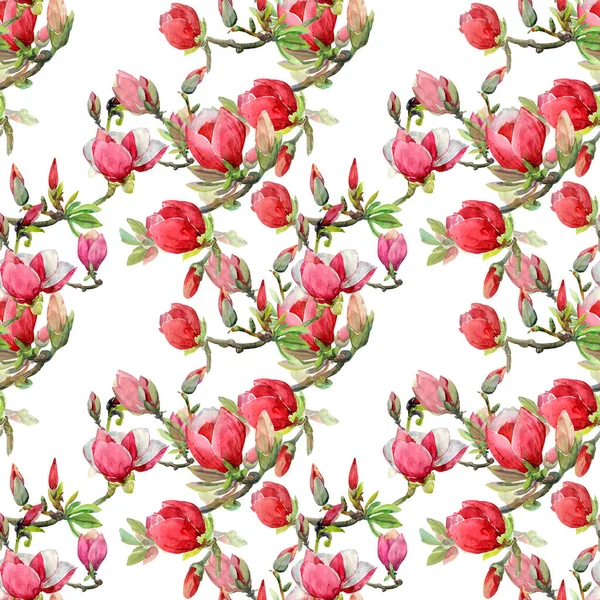 Seamless Pattern Magnolia Branches Image White Color Background — Stock Photo, Image